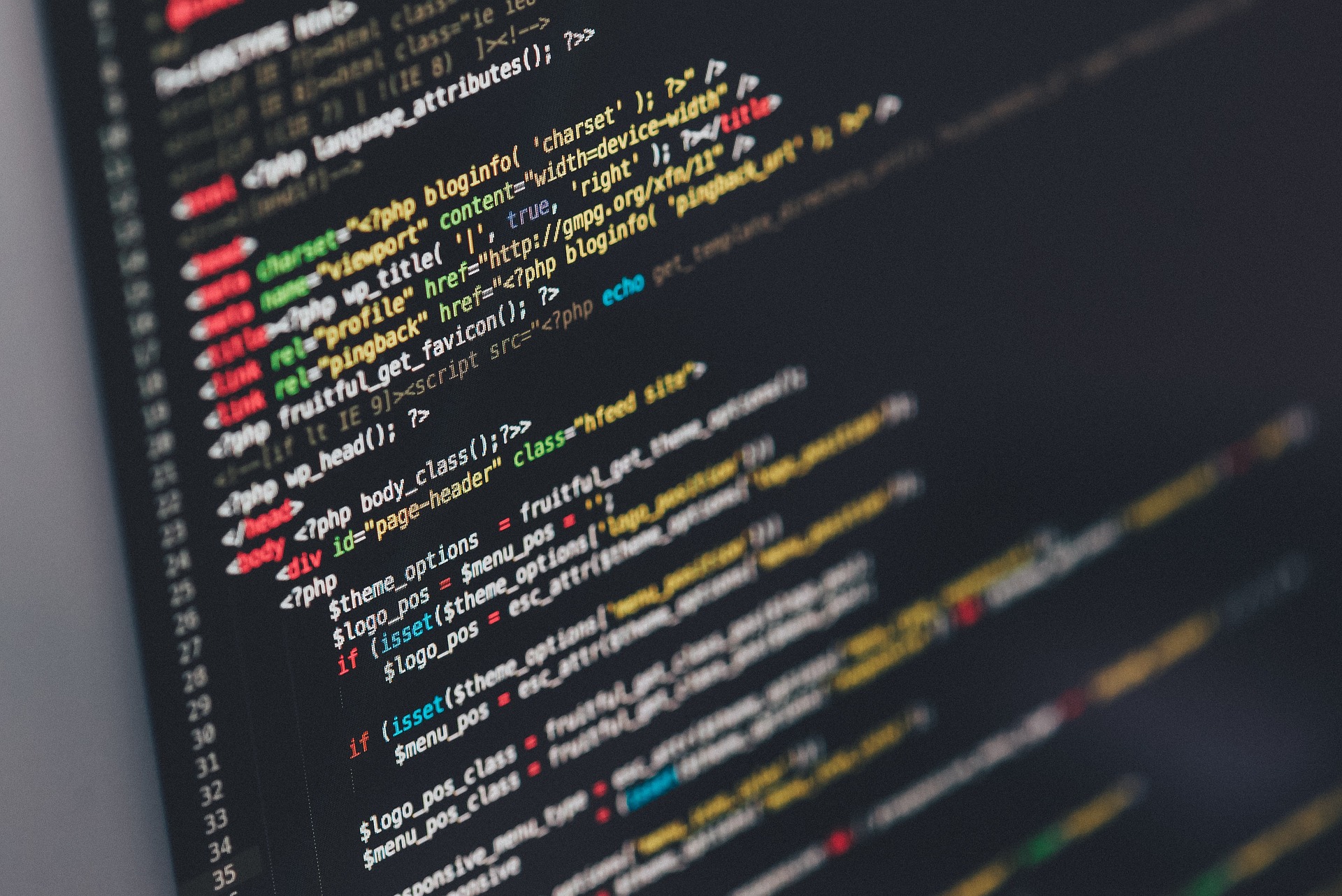 Software development